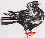 Mark Hearld Pigeon